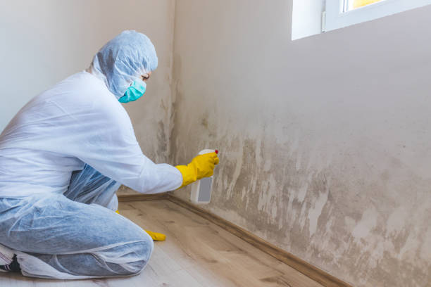 Licensed Mold Remediation service in Highlands, NJ - WQB Mold Removal