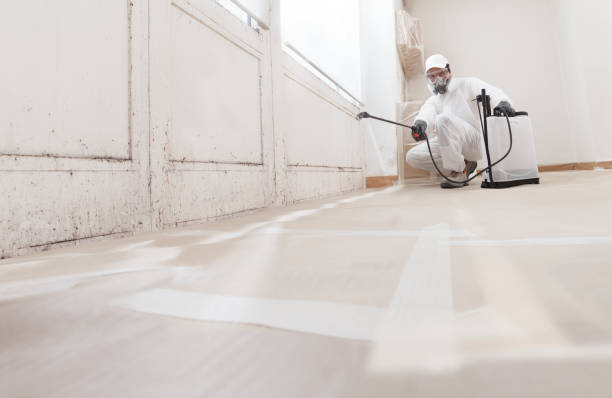 24/7 Emergency Mold Remediation experts in Highlands, NJ