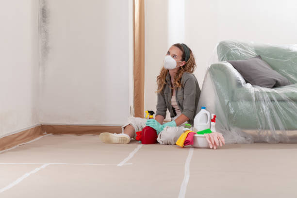 Reliable Mold Remediation contractor in Highlands, NJ by WQB Mold Removal